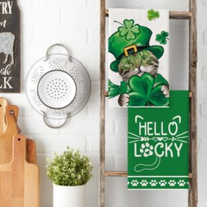 artoid mode cat shamrock st. patrick’s day kitchen towels – set of 2 (18x26 inch)