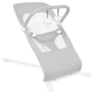 baby delight highland baby bouncer 3 position recline infant seat (pebble grey)