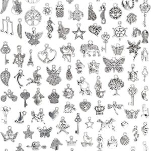 jialeey 100 piece tibetan silver metal charms set